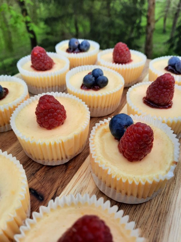 verführerische Mini-Cheesecakes