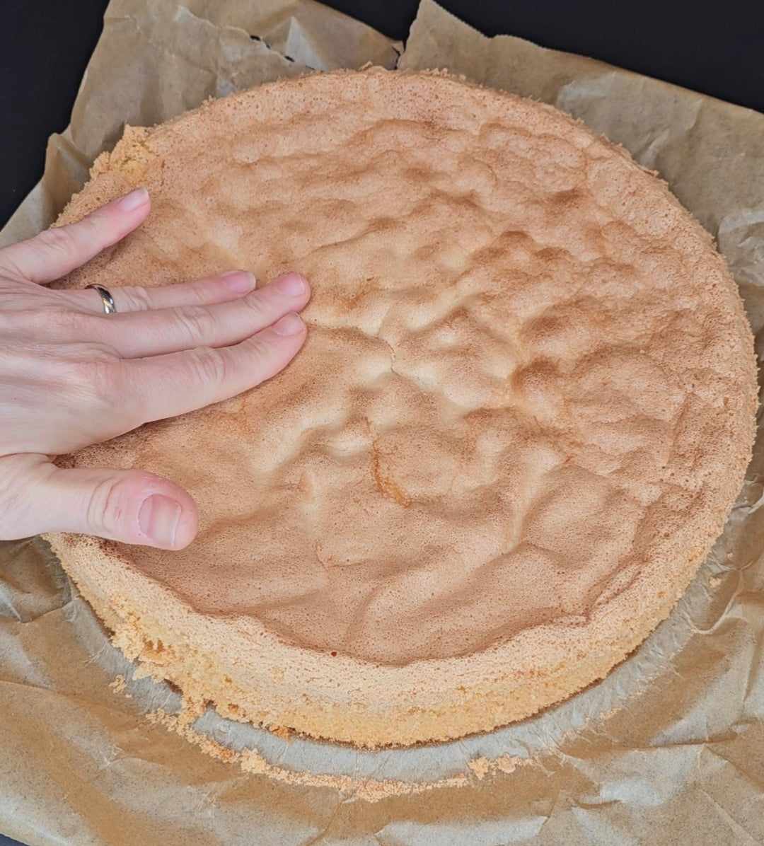 Hoher Biskuitboden (Ø 26 cm)