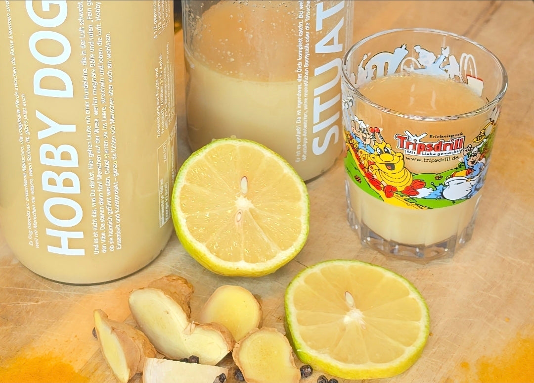 Ingwer-Shot – scharf, frisch & selbst gemacht